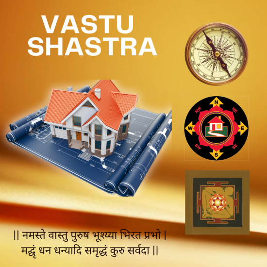 Online Vastu Consultation